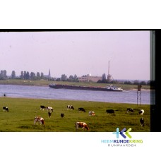 Rijn bij Spijk F00001733